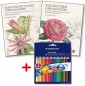 007627K2 - Kaunid õied ja eksootilised taimed läbi sajandite.<br>Värvimise raamatud+Värvipliiatsid Staedtler NC 36 värvi